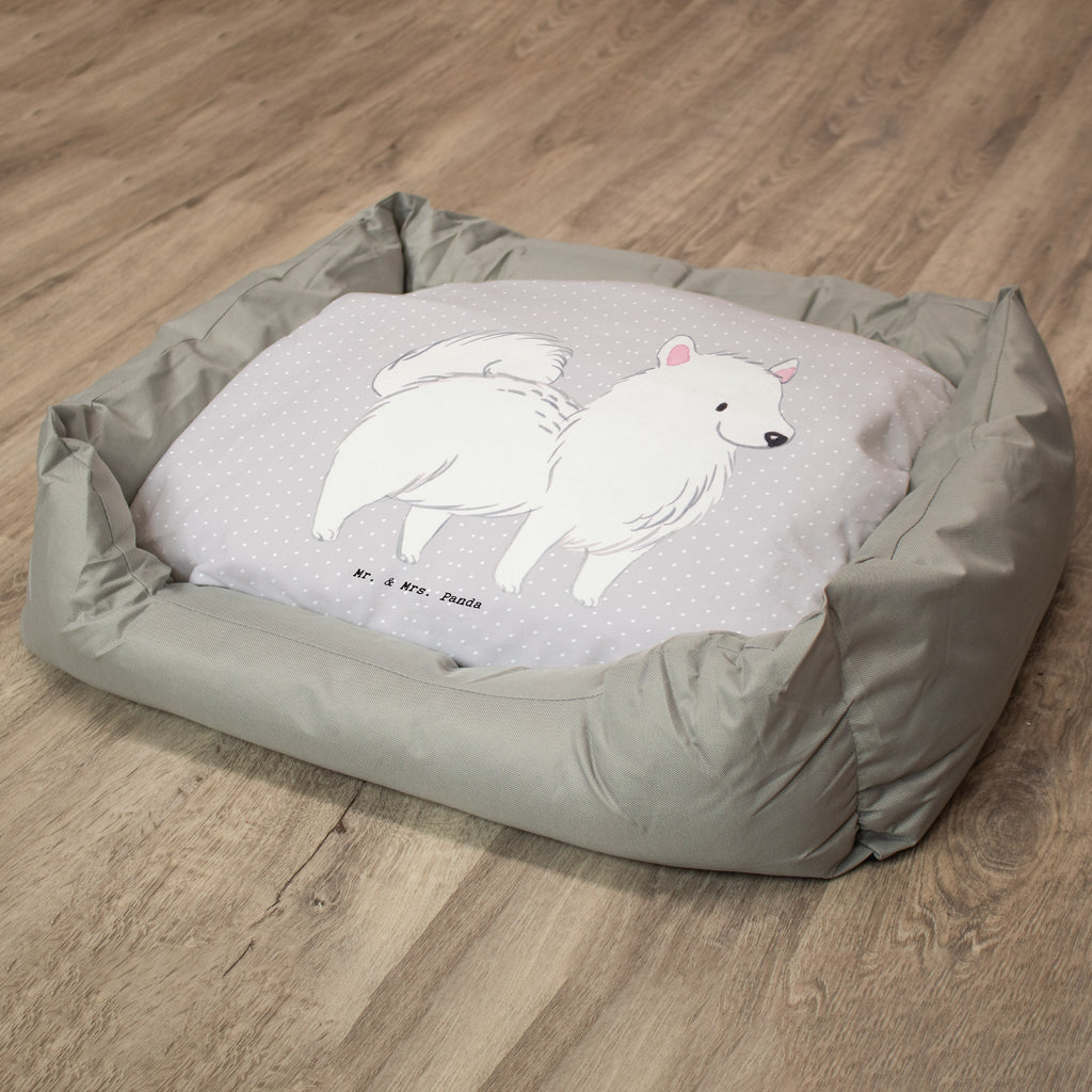 Hundebett Spitz Moment Hundebett, Hundeliege, Liegeplatz, Hund, Hundekörbchen, Körbchen, Tierbett, Hundebett Luxus, Hundekissen, Hundesofa, Hundeschlafplatz, Hundebettchen, Hundemöbel, Hundedecke, Hunderasse, Rassehund, Hundebesitzer, Geschenk, Tierfreund, Schenken, Welpe, Spitz