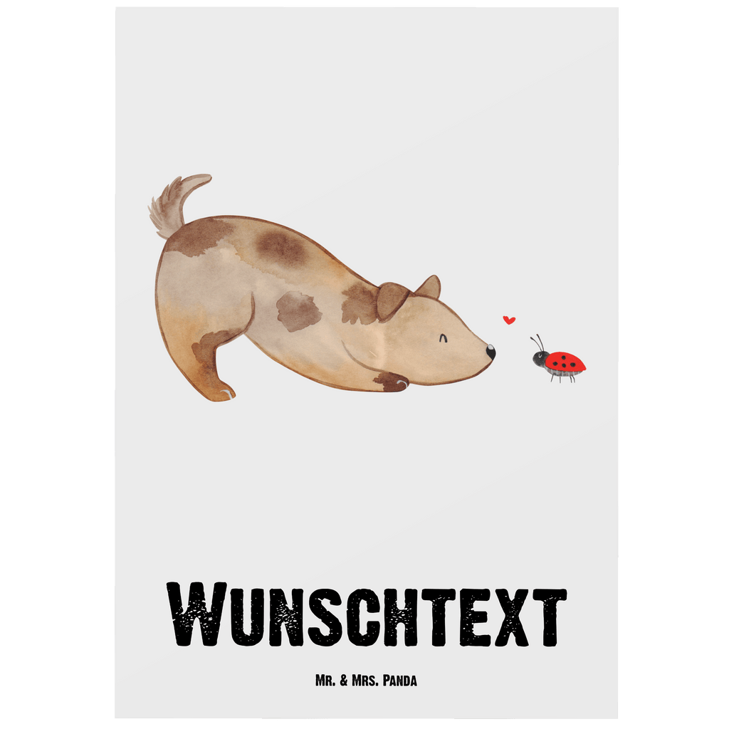 Personalisierte Postkarte Hund Marienkäfer Postkarte mit Namen, Postkarte bedrucken, Postkarte mit Wunschtext, Postkarte personalisierbar, Geschenkkarte mit Namen, Grußkarte mit Namen, Karte mit Namen, Einladung mit Namen, Ansichtskarte mit Namen, Geschenkkarte mit Wunschtext, Grußkarte mit Wunschtext, Karte mit Wunschtext, Einladung mit Wunschtext, Ansichtskarte mit Wunschtext, Hund, Hundemotiv, Haustier, Hunderasse, Tierliebhaber, Hundebesitzer, Sprüche, Hunde, Hundespruch, Marienkäfer, Mischling, Mischlinghund