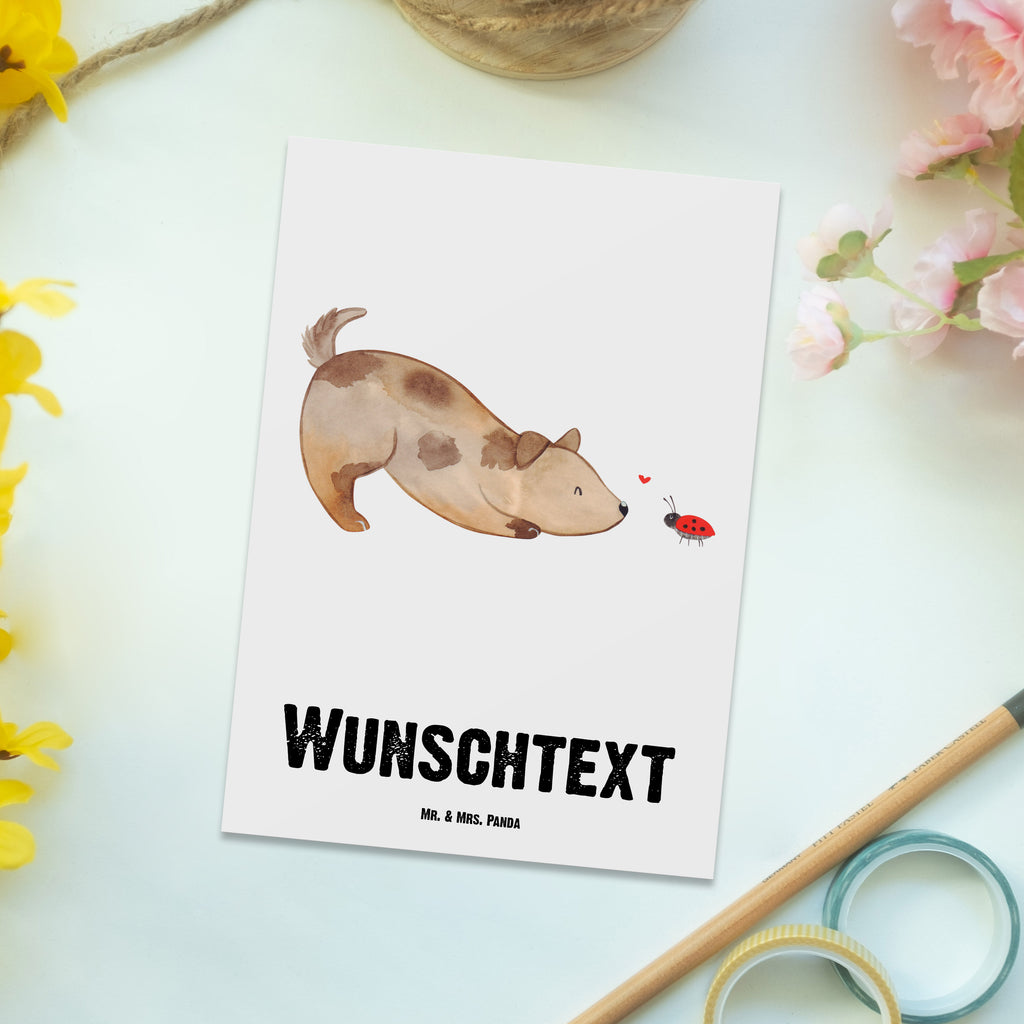Personalisierte Postkarte Hund Marienkäfer Postkarte mit Namen, Postkarte bedrucken, Postkarte mit Wunschtext, Postkarte personalisierbar, Geschenkkarte mit Namen, Grußkarte mit Namen, Karte mit Namen, Einladung mit Namen, Ansichtskarte mit Namen, Geschenkkarte mit Wunschtext, Grußkarte mit Wunschtext, Karte mit Wunschtext, Einladung mit Wunschtext, Ansichtskarte mit Wunschtext, Hund, Hundemotiv, Haustier, Hunderasse, Tierliebhaber, Hundebesitzer, Sprüche, Hunde, Hundespruch, Marienkäfer, Mischling, Mischlinghund