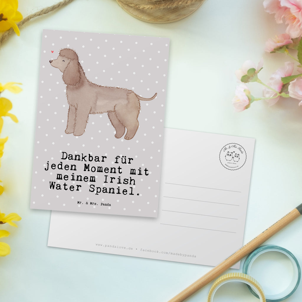 Postkarte Irish Water Spaniel Moment Geschenkkarte, Grußkarte, Karte, Einladung, Ansichtskarte, Geburtstagskarte, Einladungskarte, Dankeskarte, Hund, Hunderasse, Rassehund, Hundebesitzer, Geschenk, Tierfreund, Schenken, Welpe, Irish Water Spaniel, Jagdhund