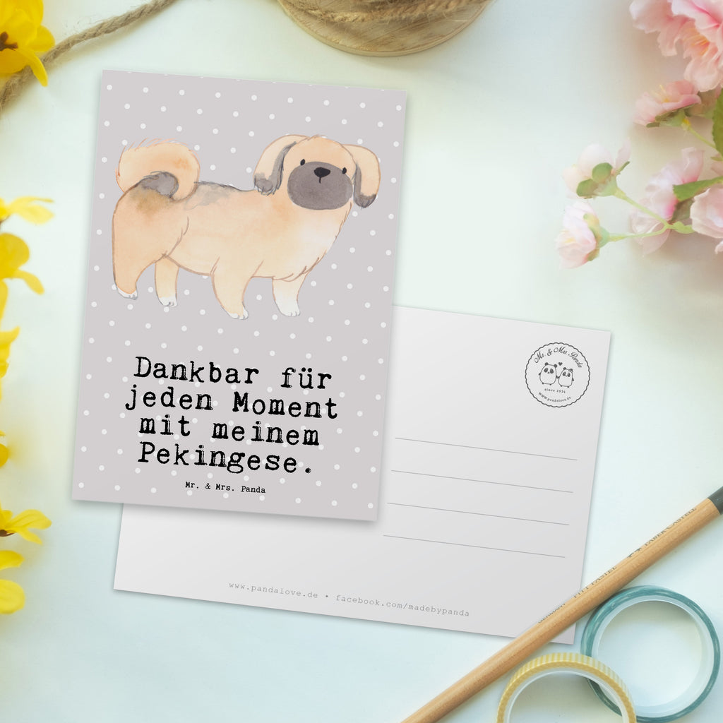 Postkarte Pekingese Moment Geschenkkarte, Grußkarte, Karte, Einladung, Ansichtskarte, Geburtstagskarte, Einladungskarte, Dankeskarte, Hund, Hunderasse, Rassehund, Hundebesitzer, Geschenk, Tierfreund, Schenken, Welpe, Pekingese, Pekinese, Peking-Palasthund