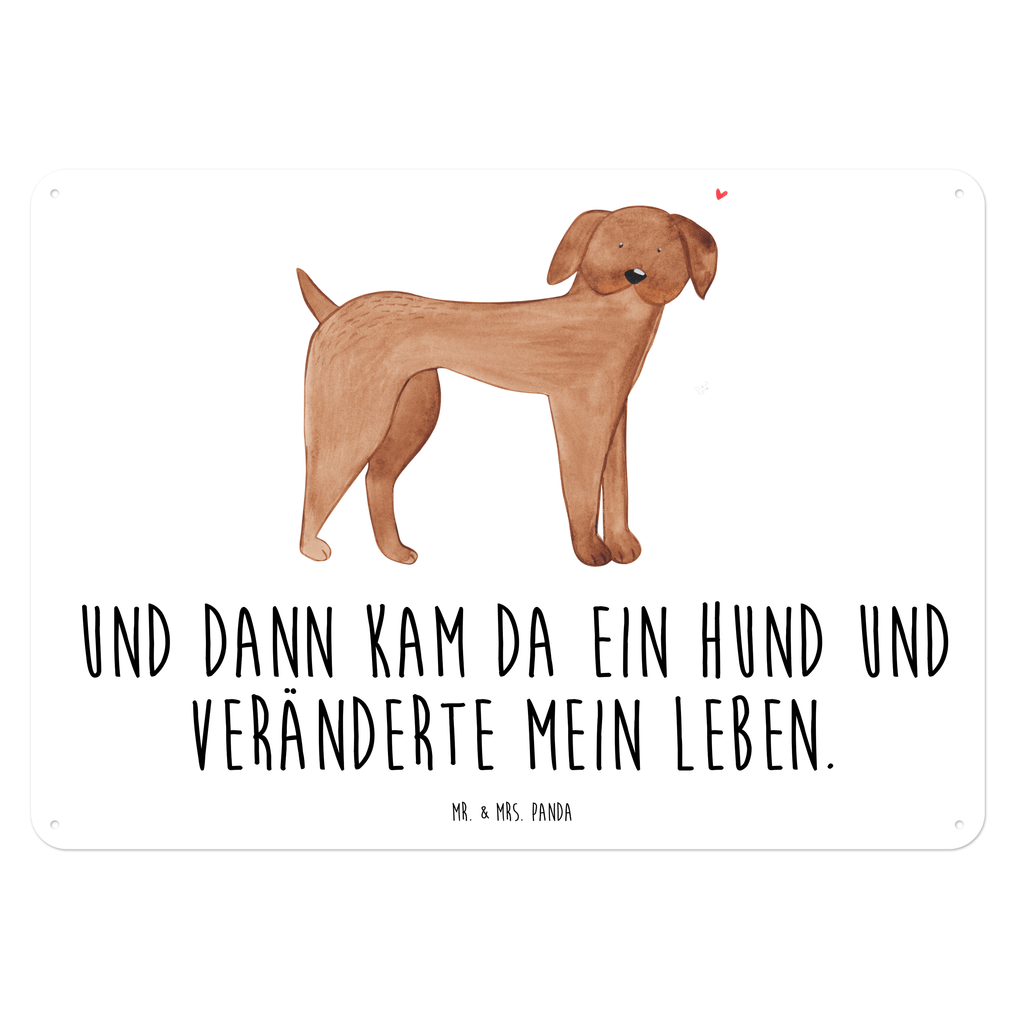 Blechschild Hund Dogge Hund, Hunde, Dogge, Deutsche Dogge, Great Dane Blechschild, Metallschild, Geschenk Schild, Schild, Magnet-Metall-Schild, Deko Schild, Wandschild, Wand-Dekoration, Türschild, Wandschild, Metallschild  Hund, Hundemotiv, Haustier, Hunderasse, Tierliebhaber, Hundebesitzer, Sprüche