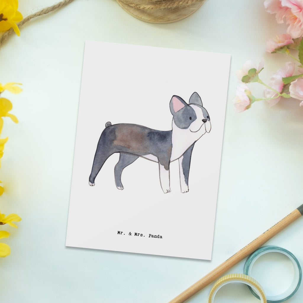 Postkarte Boston Terrier Lebensretter Geschenkkarte, Grußkarte, Karte, Einladung, Ansichtskarte, Geburtstagskarte, Einladungskarte, Dankeskarte, Hund, Hunderasse, Rassehund, Hundebesitzer, Geschenk, Tierfreund, Schenken, Welpe, Boston Terrier