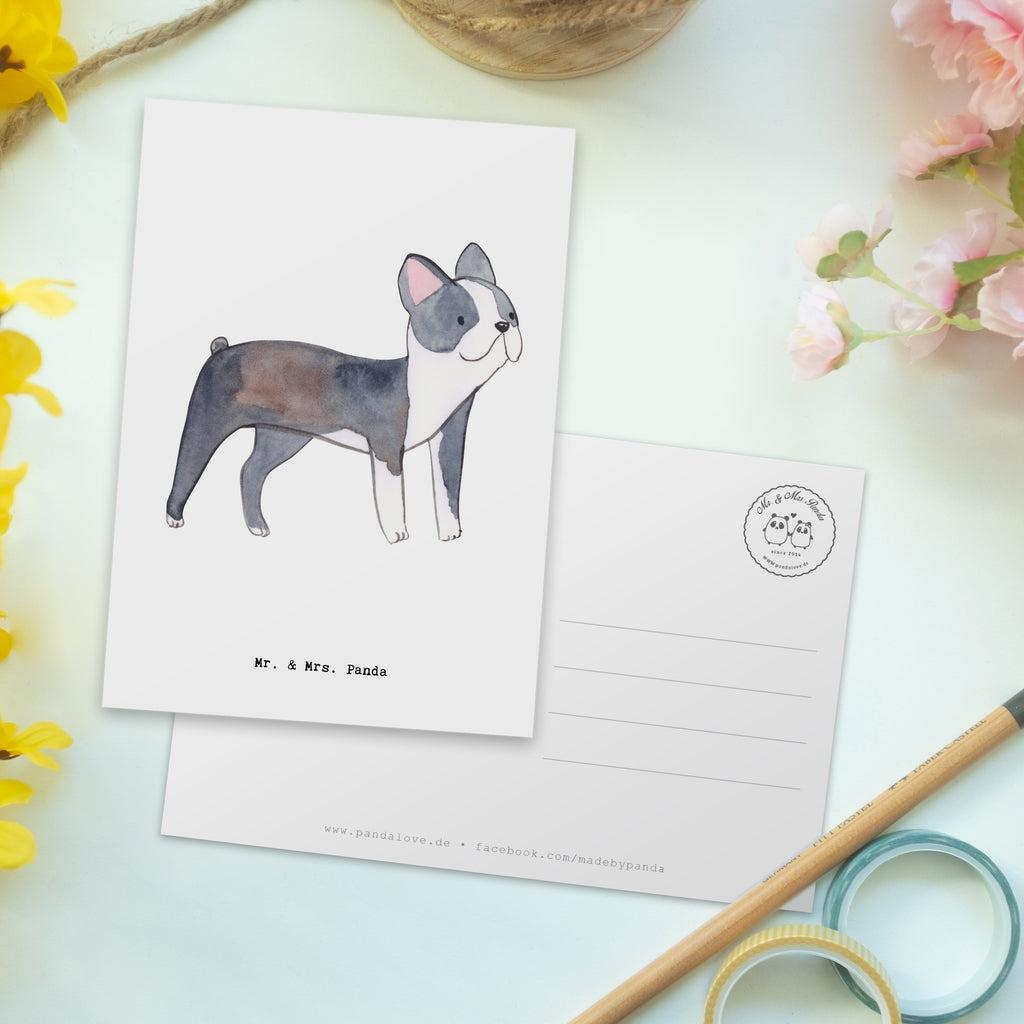 Postkarte Boston Terrier Lebensretter Geschenkkarte, Grußkarte, Karte, Einladung, Ansichtskarte, Geburtstagskarte, Einladungskarte, Dankeskarte, Hund, Hunderasse, Rassehund, Hundebesitzer, Geschenk, Tierfreund, Schenken, Welpe, Boston Terrier