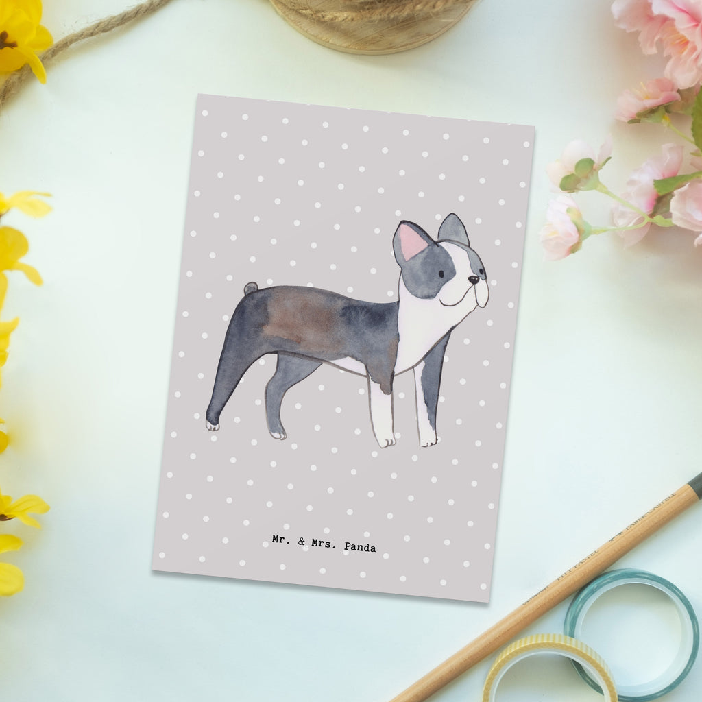 Postkarte Boston Terrier Lebensretter Geschenkkarte, Grußkarte, Karte, Einladung, Ansichtskarte, Geburtstagskarte, Einladungskarte, Dankeskarte, Hund, Hunderasse, Rassehund, Hundebesitzer, Geschenk, Tierfreund, Schenken, Welpe, Boston Terrier