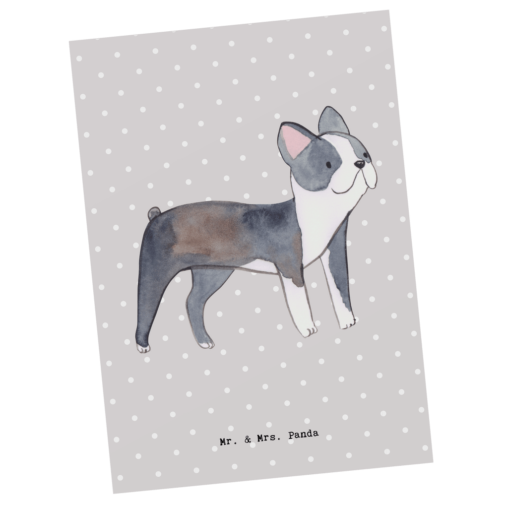 Postkarte Boston Terrier Moment Geschenkkarte, Grußkarte, Karte, Einladung, Ansichtskarte, Geburtstagskarte, Einladungskarte, Dankeskarte, Hund, Hunderasse, Rassehund, Hundebesitzer, Geschenk, Tierfreund, Schenken, Welpe, Boston Terrier