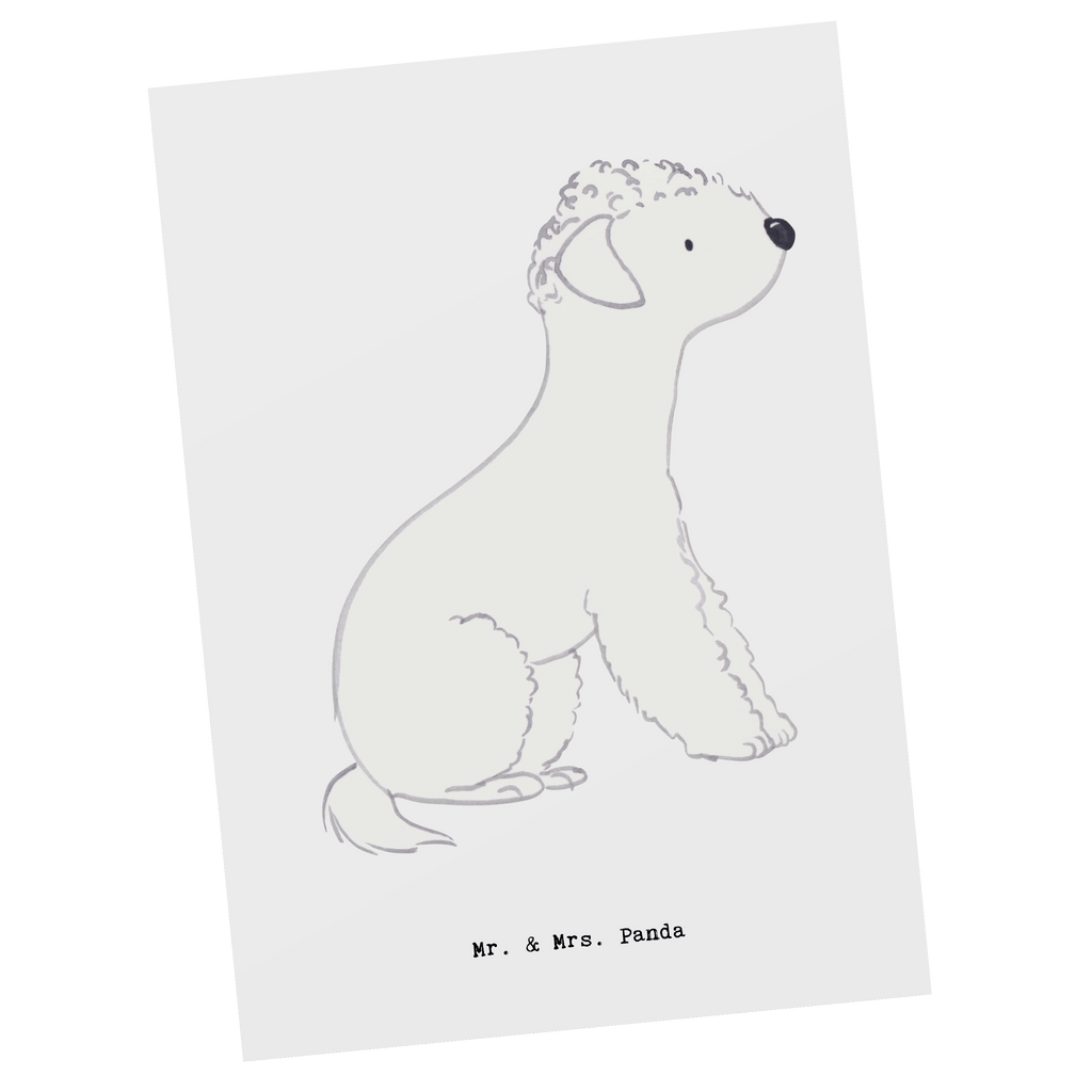 Postkarte Bedlington Terrier Lebensretter Geschenkkarte, Grußkarte, Karte, Einladung, Ansichtskarte, Geburtstagskarte, Einladungskarte, Dankeskarte, Hund, Hunderasse, Rassehund, Hundebesitzer, Geschenk, Tierfreund, Schenken, Welpe, Bedlington Terrier, Terrier