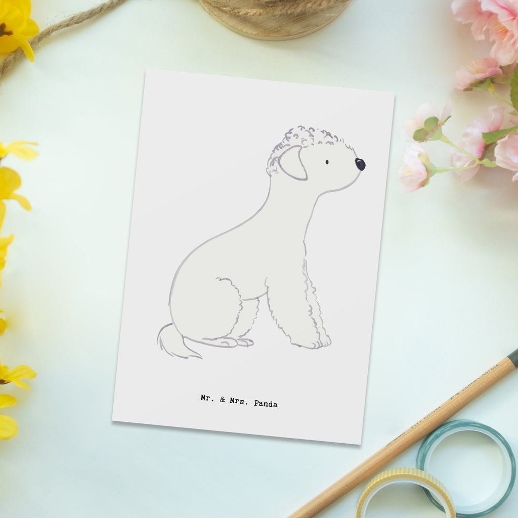 Postkarte Bedlington Terrier Lebensretter Geschenkkarte, Grußkarte, Karte, Einladung, Ansichtskarte, Geburtstagskarte, Einladungskarte, Dankeskarte, Hund, Hunderasse, Rassehund, Hundebesitzer, Geschenk, Tierfreund, Schenken, Welpe, Bedlington Terrier, Terrier