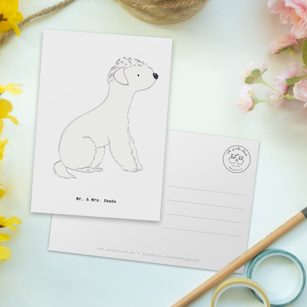 Postkarte Bedlington Terrier Lebensretter Geschenkkarte, Grußkarte, Karte, Einladung, Ansichtskarte, Geburtstagskarte, Einladungskarte, Dankeskarte, Hund, Hunderasse, Rassehund, Hundebesitzer, Geschenk, Tierfreund, Schenken, Welpe, Bedlington Terrier, Terrier