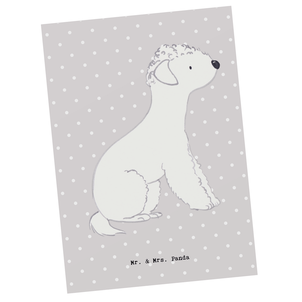 Postkarte Bedlington Terrier Lebensretter Geschenkkarte, Grußkarte, Karte, Einladung, Ansichtskarte, Geburtstagskarte, Einladungskarte, Dankeskarte, Hund, Hunderasse, Rassehund, Hundebesitzer, Geschenk, Tierfreund, Schenken, Welpe, Bedlington Terrier, Terrier