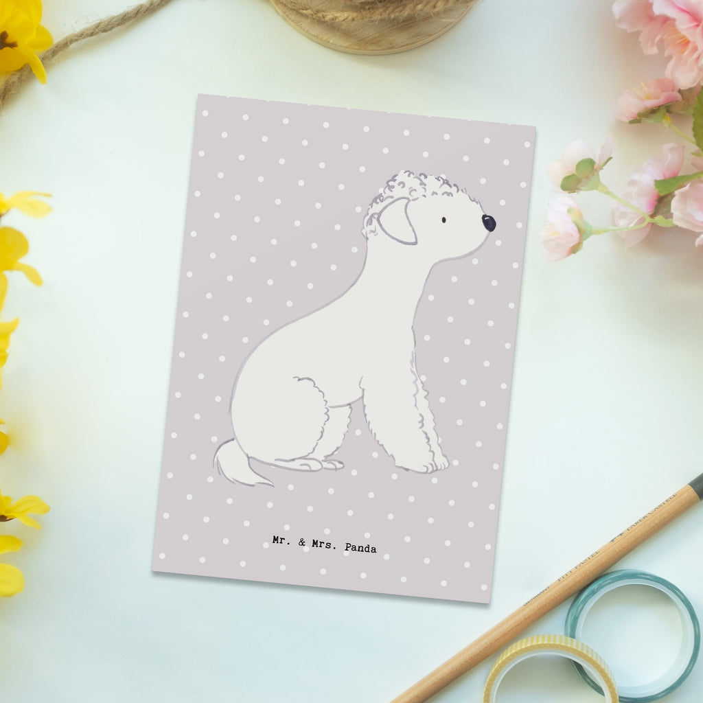 Postkarte Bedlington Terrier Lebensretter Geschenkkarte, Grußkarte, Karte, Einladung, Ansichtskarte, Geburtstagskarte, Einladungskarte, Dankeskarte, Hund, Hunderasse, Rassehund, Hundebesitzer, Geschenk, Tierfreund, Schenken, Welpe, Bedlington Terrier, Terrier