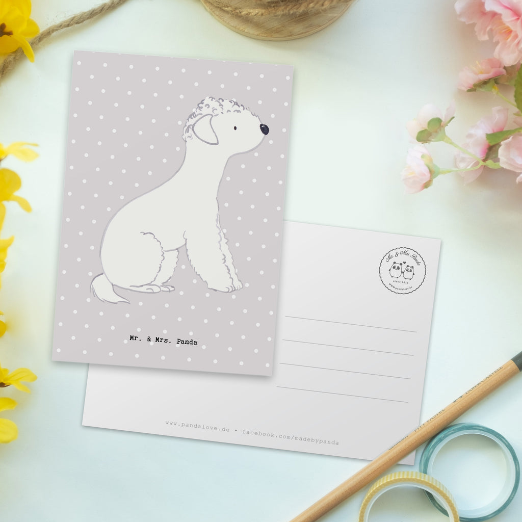 Postkarte Bedlington Terrier Lebensretter Geschenkkarte, Grußkarte, Karte, Einladung, Ansichtskarte, Geburtstagskarte, Einladungskarte, Dankeskarte, Hund, Hunderasse, Rassehund, Hundebesitzer, Geschenk, Tierfreund, Schenken, Welpe, Bedlington Terrier, Terrier