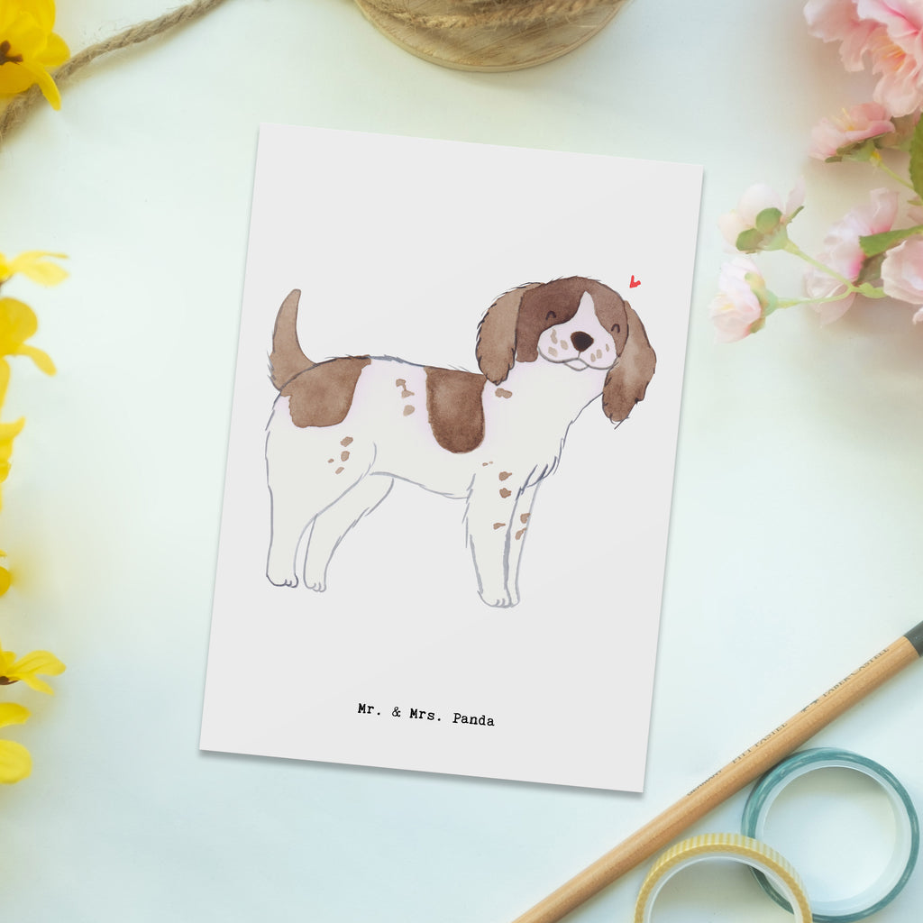 Postkarte English Springer Spaniel Lebensretter Geschenkkarte, Grußkarte, Karte, Einladung, Ansichtskarte, Geburtstagskarte, Einladungskarte, Dankeskarte, Hund, Hunderasse, Rassehund, Hundebesitzer, Geschenk, Tierfreund, Schenken, Welpe, English Springer Spaniel