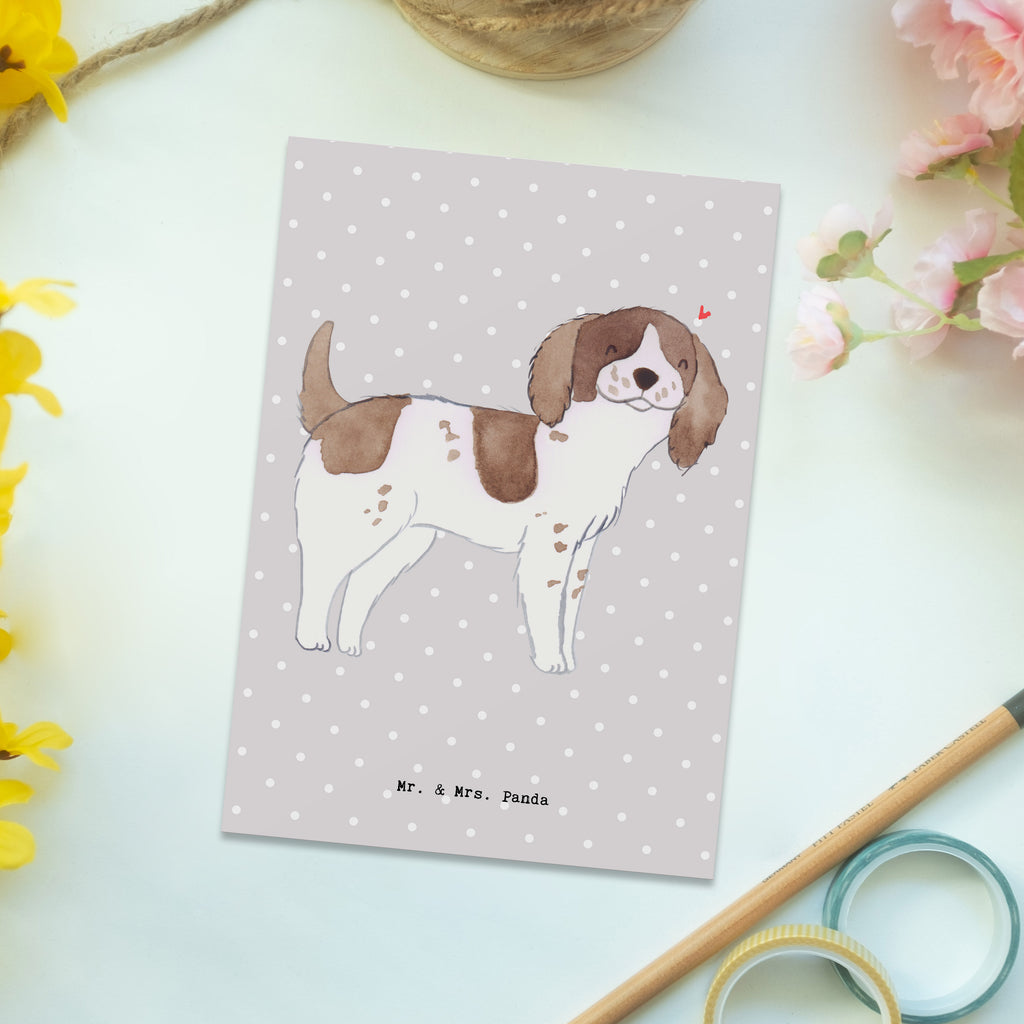 Postkarte English Springer Spaniel Lebensretter Geschenkkarte, Grußkarte, Karte, Einladung, Ansichtskarte, Geburtstagskarte, Einladungskarte, Dankeskarte, Hund, Hunderasse, Rassehund, Hundebesitzer, Geschenk, Tierfreund, Schenken, Welpe, English Springer Spaniel