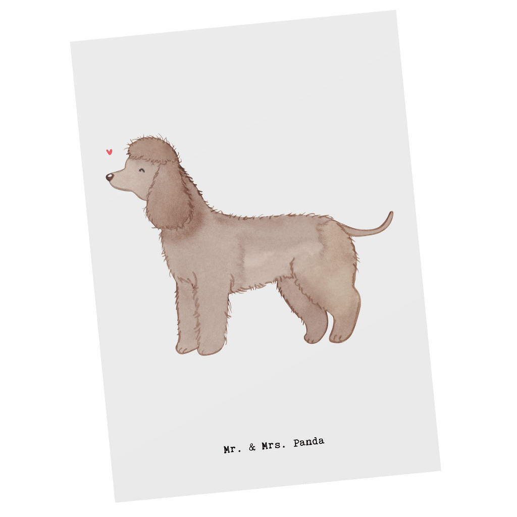 Postkarte Irish Water Spaniel Moment Geschenkkarte, Grußkarte, Karte, Einladung, Ansichtskarte, Geburtstagskarte, Einladungskarte, Dankeskarte, Hund, Hunderasse, Rassehund, Hundebesitzer, Geschenk, Tierfreund, Schenken, Welpe, Irish Water Spaniel, Jagdhund