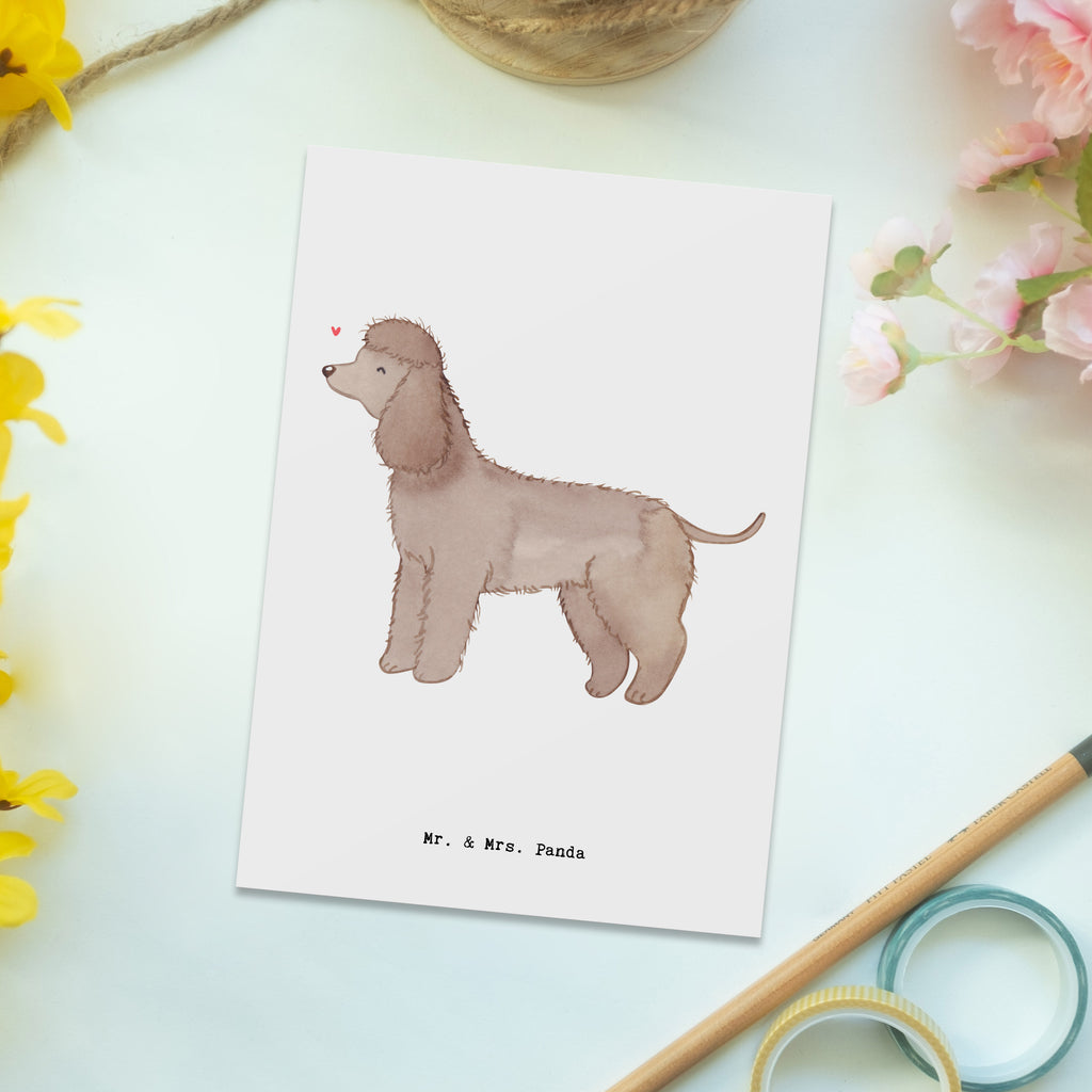 Postkarte Irish Water Spaniel Moment Geschenkkarte, Grußkarte, Karte, Einladung, Ansichtskarte, Geburtstagskarte, Einladungskarte, Dankeskarte, Hund, Hunderasse, Rassehund, Hundebesitzer, Geschenk, Tierfreund, Schenken, Welpe, Irish Water Spaniel, Jagdhund