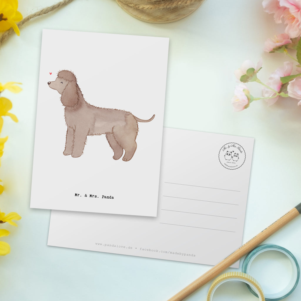 Postkarte Irish Water Spaniel Moment Geschenkkarte, Grußkarte, Karte, Einladung, Ansichtskarte, Geburtstagskarte, Einladungskarte, Dankeskarte, Hund, Hunderasse, Rassehund, Hundebesitzer, Geschenk, Tierfreund, Schenken, Welpe, Irish Water Spaniel, Jagdhund