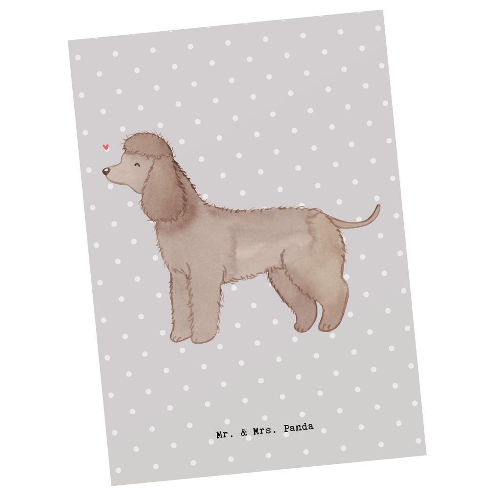 Postkarte Irish Water Spaniel Moment Geschenkkarte, Grußkarte, Karte, Einladung, Ansichtskarte, Geburtstagskarte, Einladungskarte, Dankeskarte, Hund, Hunderasse, Rassehund, Hundebesitzer, Geschenk, Tierfreund, Schenken, Welpe, Irish Water Spaniel, Jagdhund