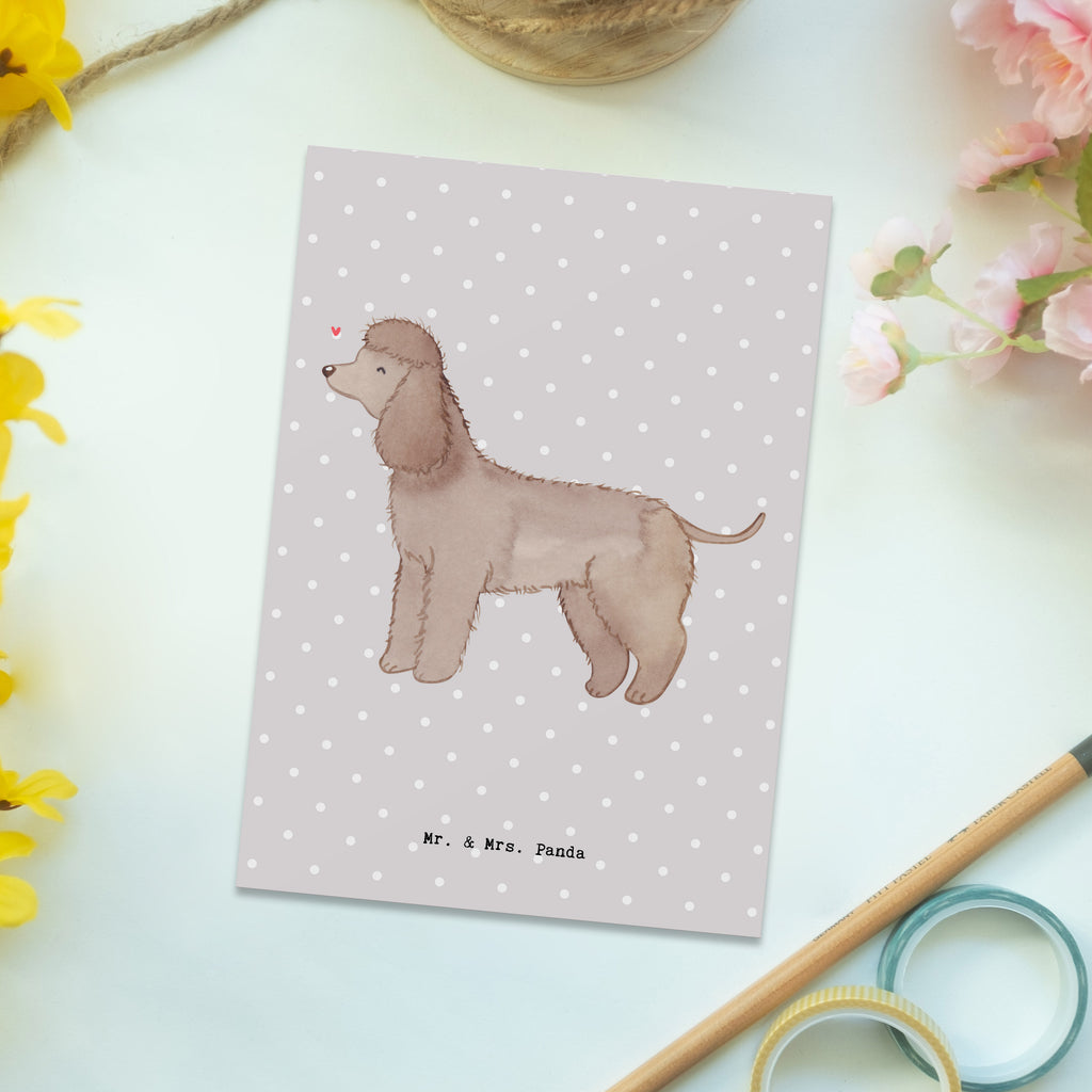 Postkarte Irish Water Spaniel Moment Geschenkkarte, Grußkarte, Karte, Einladung, Ansichtskarte, Geburtstagskarte, Einladungskarte, Dankeskarte, Hund, Hunderasse, Rassehund, Hundebesitzer, Geschenk, Tierfreund, Schenken, Welpe, Irish Water Spaniel, Jagdhund