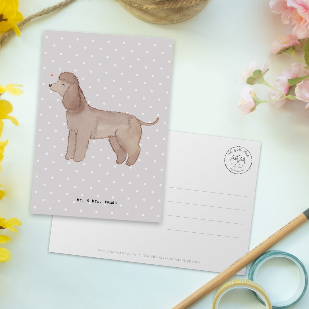 Postkarte Irish Water Spaniel Moment Geschenkkarte, Grußkarte, Karte, Einladung, Ansichtskarte, Geburtstagskarte, Einladungskarte, Dankeskarte, Hund, Hunderasse, Rassehund, Hundebesitzer, Geschenk, Tierfreund, Schenken, Welpe, Irish Water Spaniel, Jagdhund