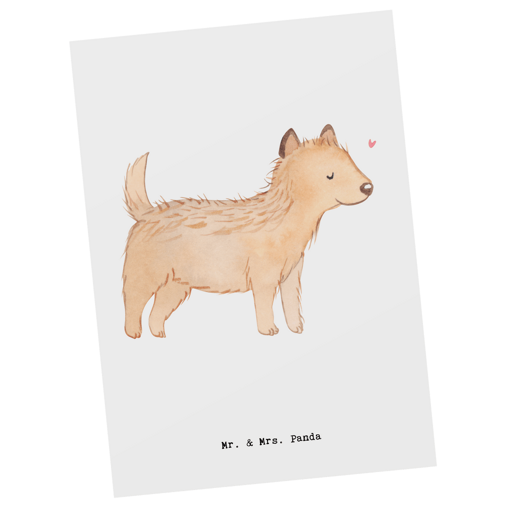 Postkarte Cairn Terrier Moment Geschenkkarte, Grußkarte, Karte, Einladung, Ansichtskarte, Geburtstagskarte, Einladungskarte, Dankeskarte, Hund, Hunderasse, Rassehund, Hundebesitzer, Geschenk, Tierfreund, Schenken, Welpe, Cairn Terrier
