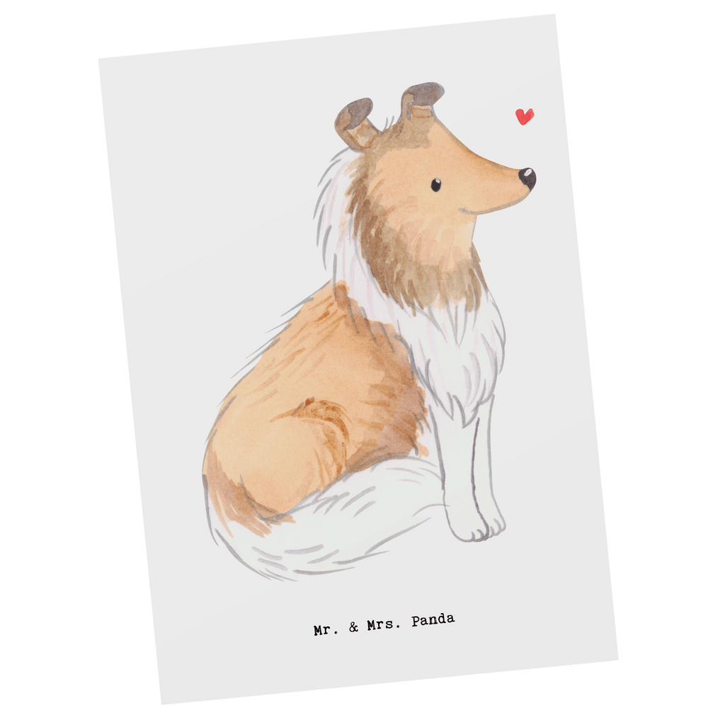 Postkarte Langhaar Collie Moment Geschenkkarte, Grußkarte, Karte, Einladung, Ansichtskarte, Geburtstagskarte, Einladungskarte, Dankeskarte, Hund, Hunderasse, Rassehund, Hundebesitzer, Geschenk, Tierfreund, Schenken, Welpe, Langhaar Collie, britischer Hütehund