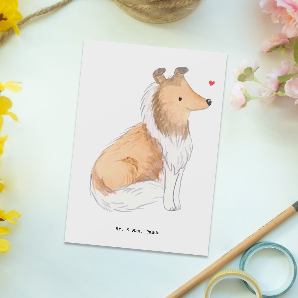 Postkarte Langhaar Collie Moment Geschenkkarte, Grußkarte, Karte, Einladung, Ansichtskarte, Geburtstagskarte, Einladungskarte, Dankeskarte, Hund, Hunderasse, Rassehund, Hundebesitzer, Geschenk, Tierfreund, Schenken, Welpe, Langhaar Collie, britischer Hütehund