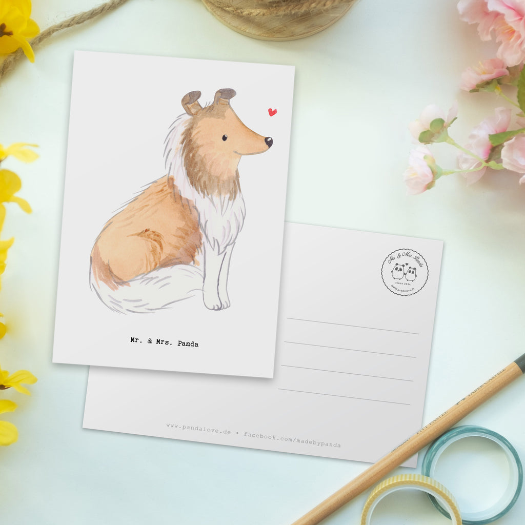 Postkarte Langhaar Collie Moment Geschenkkarte, Grußkarte, Karte, Einladung, Ansichtskarte, Geburtstagskarte, Einladungskarte, Dankeskarte, Hund, Hunderasse, Rassehund, Hundebesitzer, Geschenk, Tierfreund, Schenken, Welpe, Langhaar Collie, britischer Hütehund