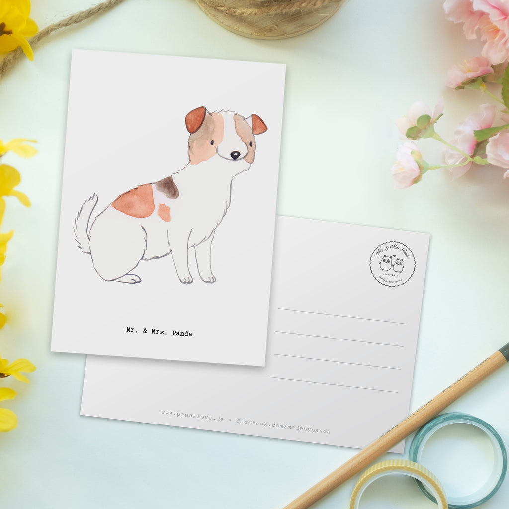 Postkarte Jack Russell Terrier Moment Geschenkkarte, Grußkarte, Karte, Einladung, Ansichtskarte, Geburtstagskarte, Einladungskarte, Dankeskarte, Hund, Hunderasse, Rassehund, Hundebesitzer, Geschenk, Tierfreund, Schenken, Welpe, Jack Russell Terrier