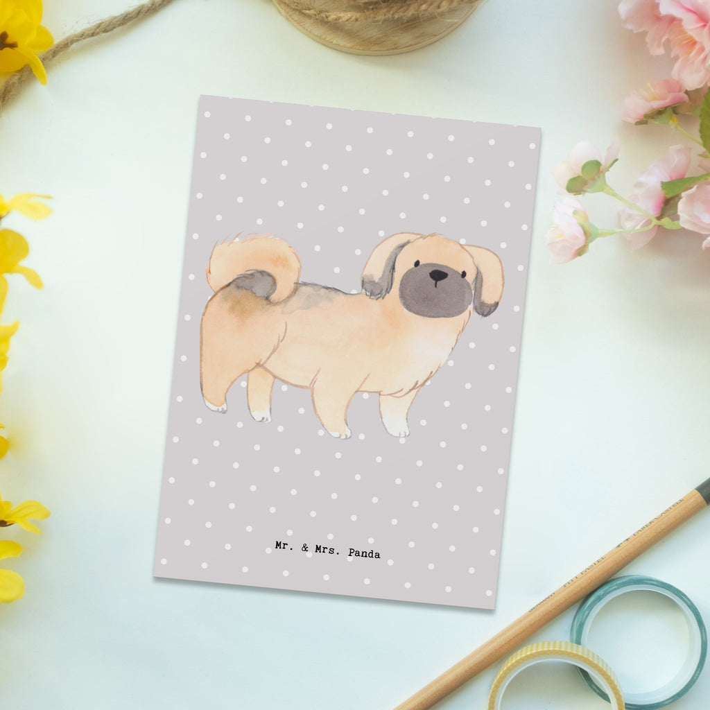 Postkarte Pekingese Lebensretter Geschenkkarte, Grußkarte, Karte, Einladung, Ansichtskarte, Geburtstagskarte, Einladungskarte, Dankeskarte, Hund, Hunderasse, Rassehund, Hundebesitzer, Geschenk, Tierfreund, Schenken, Welpe, Pekingese, Pekinese, Peking-Palasthund