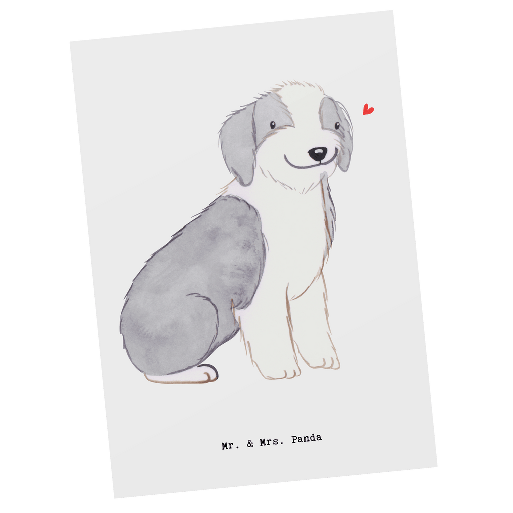 Postkarte Bearded Collie Lebensretter Geschenkkarte, Grußkarte, Karte, Einladung, Ansichtskarte, Geburtstagskarte, Einladungskarte, Dankeskarte, Hund, Hunderasse, Rassehund, Hundebesitzer, Geschenk, Tierfreund, Schenken, Welpe, Bearded Collie, britischer Hütehund