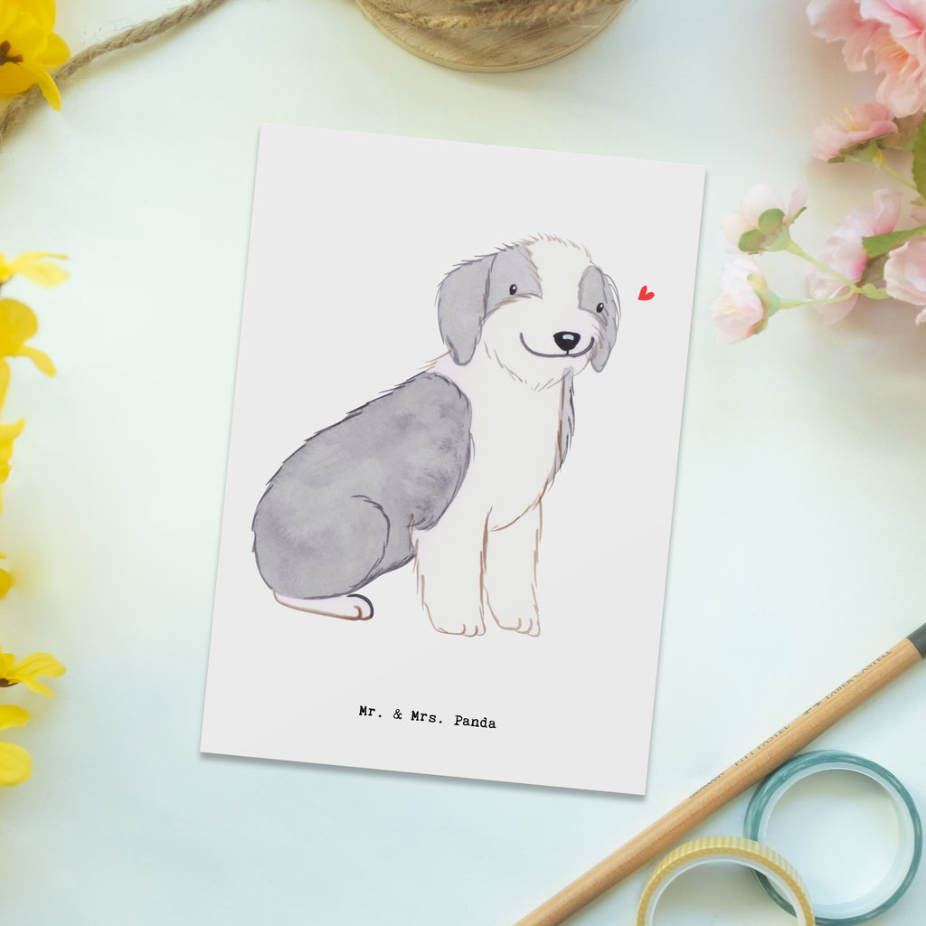 Postkarte Bearded Collie Lebensretter Geschenkkarte, Grußkarte, Karte, Einladung, Ansichtskarte, Geburtstagskarte, Einladungskarte, Dankeskarte, Hund, Hunderasse, Rassehund, Hundebesitzer, Geschenk, Tierfreund, Schenken, Welpe, Bearded Collie, britischer Hütehund