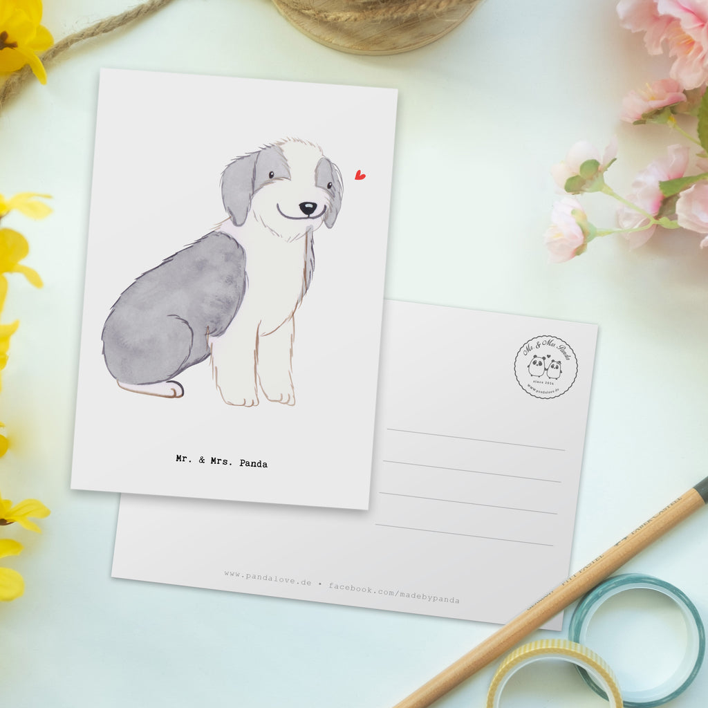 Postkarte Bearded Collie Lebensretter Geschenkkarte, Grußkarte, Karte, Einladung, Ansichtskarte, Geburtstagskarte, Einladungskarte, Dankeskarte, Hund, Hunderasse, Rassehund, Hundebesitzer, Geschenk, Tierfreund, Schenken, Welpe, Bearded Collie, britischer Hütehund