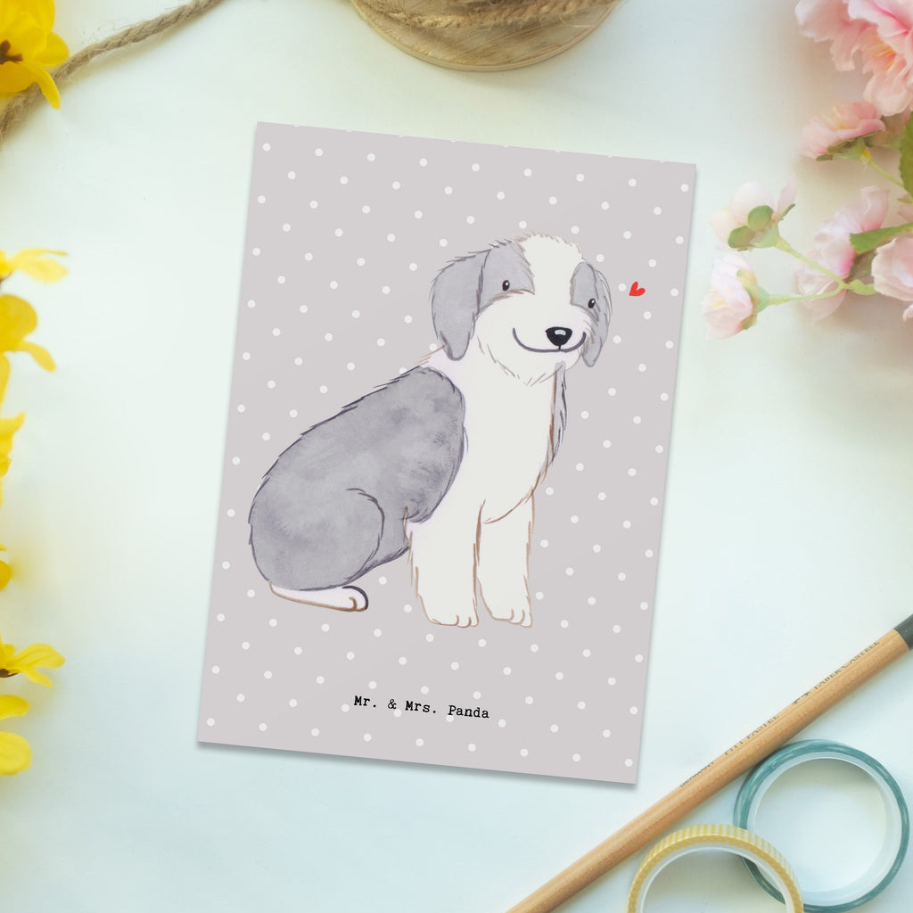 Postkarte Bearded Collie Lebensretter Geschenkkarte, Grußkarte, Karte, Einladung, Ansichtskarte, Geburtstagskarte, Einladungskarte, Dankeskarte, Hund, Hunderasse, Rassehund, Hundebesitzer, Geschenk, Tierfreund, Schenken, Welpe, Bearded Collie, britischer Hütehund