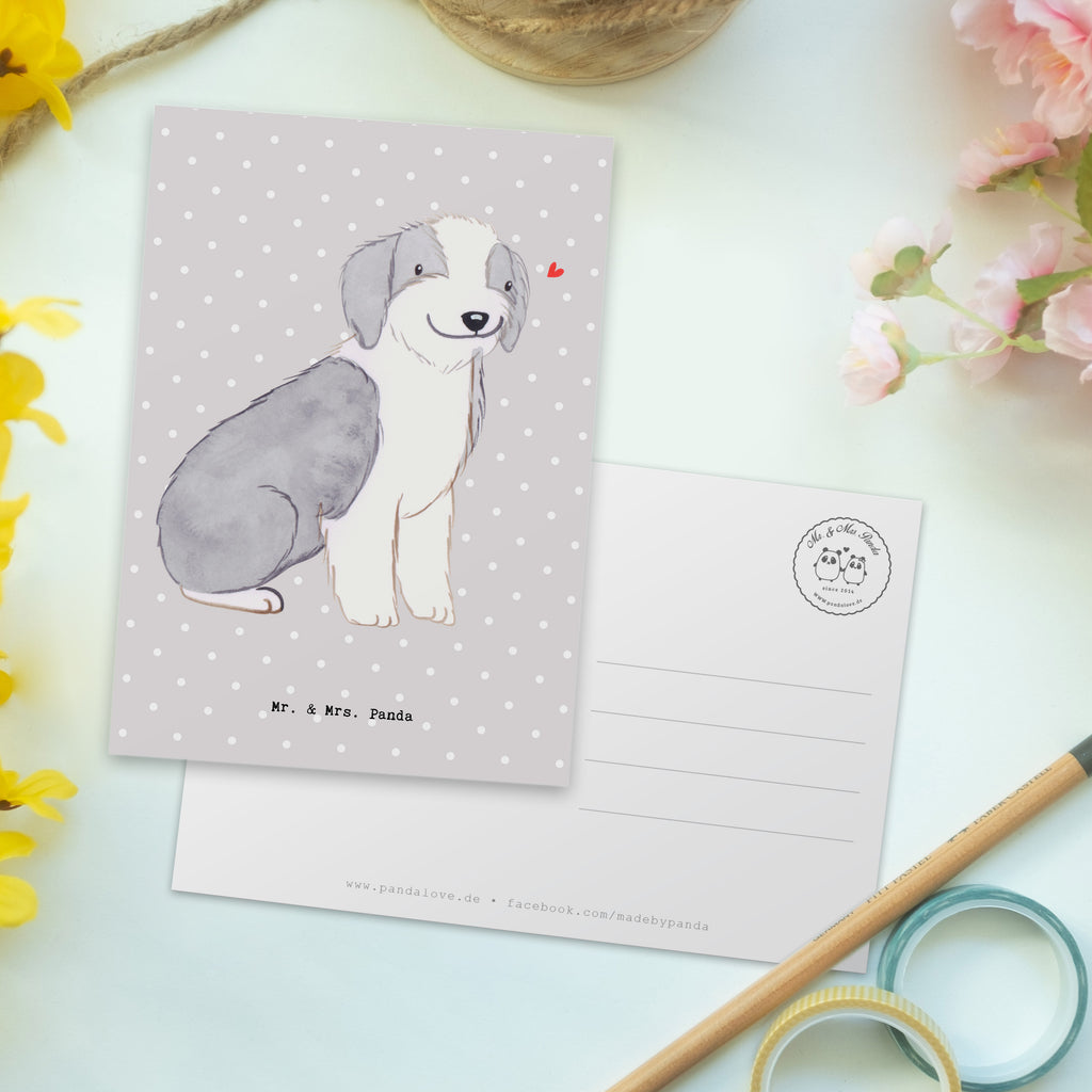 Postkarte Bearded Collie Lebensretter Geschenkkarte, Grußkarte, Karte, Einladung, Ansichtskarte, Geburtstagskarte, Einladungskarte, Dankeskarte, Hund, Hunderasse, Rassehund, Hundebesitzer, Geschenk, Tierfreund, Schenken, Welpe, Bearded Collie, britischer Hütehund