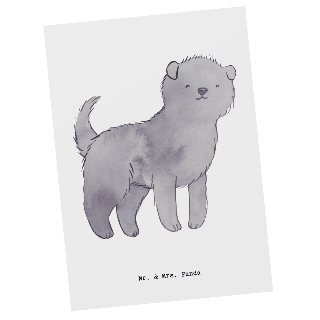 Postkarte Affenpincher Moment Geschenkkarte, Grußkarte, Karte, Einladung, Ansichtskarte, Geburtstagskarte, Einladungskarte, Dankeskarte, Hund, Hunderasse, Rassehund, Hundebesitzer, Geschenk, Tierfreund, Schenken, Welpe, Affenpincher