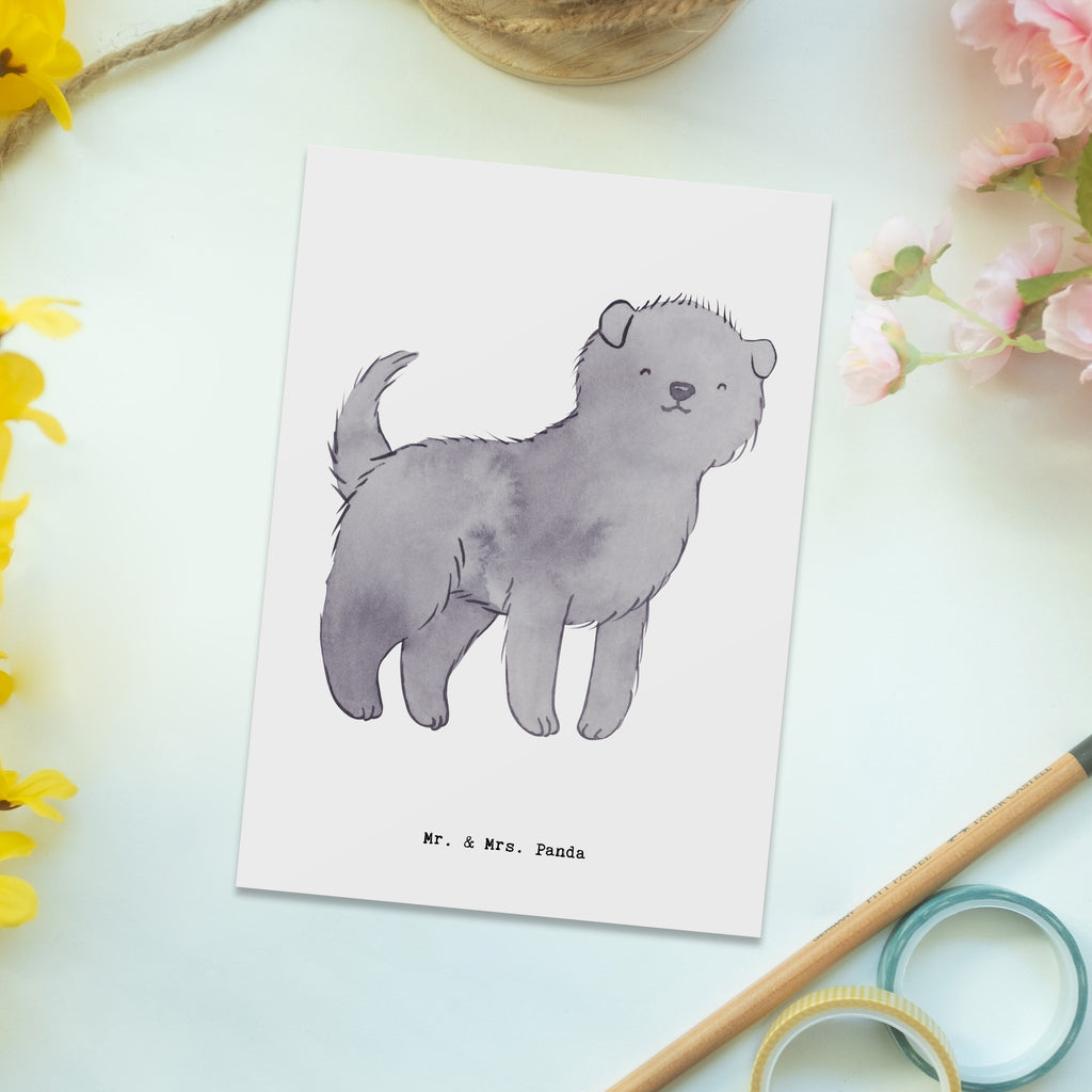 Postkarte Affenpincher Moment Geschenkkarte, Grußkarte, Karte, Einladung, Ansichtskarte, Geburtstagskarte, Einladungskarte, Dankeskarte, Hund, Hunderasse, Rassehund, Hundebesitzer, Geschenk, Tierfreund, Schenken, Welpe, Affenpincher