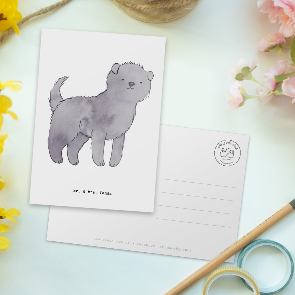 Postkarte Affenpincher Moment Geschenkkarte, Grußkarte, Karte, Einladung, Ansichtskarte, Geburtstagskarte, Einladungskarte, Dankeskarte, Hund, Hunderasse, Rassehund, Hundebesitzer, Geschenk, Tierfreund, Schenken, Welpe, Affenpincher
