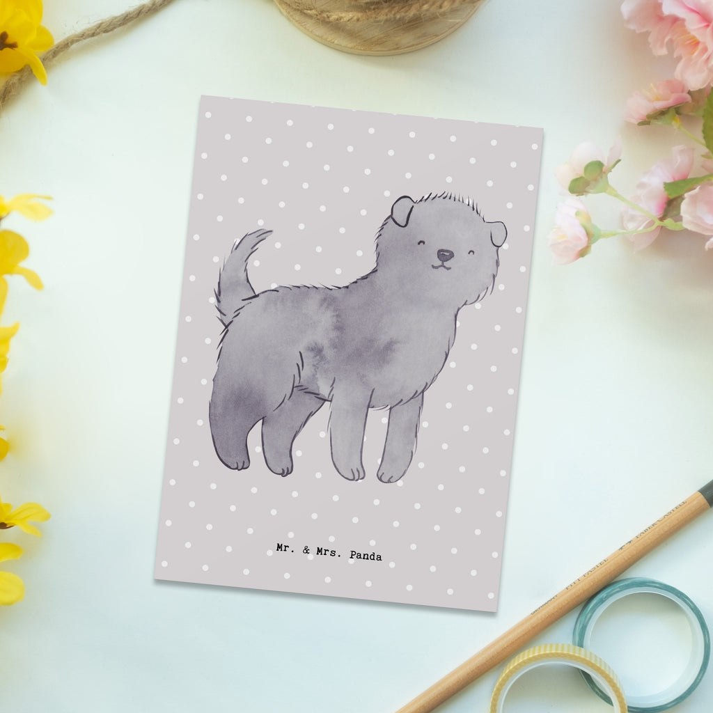 Postkarte Affenpincher Moment Geschenkkarte, Grußkarte, Karte, Einladung, Ansichtskarte, Geburtstagskarte, Einladungskarte, Dankeskarte, Hund, Hunderasse, Rassehund, Hundebesitzer, Geschenk, Tierfreund, Schenken, Welpe, Affenpincher