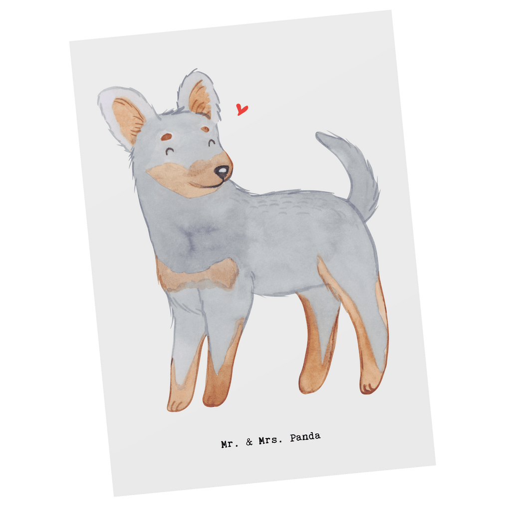 Postkarte Prager Rattler Moment Geschenkkarte, Grußkarte, Karte, Einladung, Ansichtskarte, Geburtstagskarte, Einladungskarte, Dankeskarte, Hund, Hunderasse, Rassehund, Hundebesitzer, Geschenk, Tierfreund, Schenken, Welpe, Pincher, Prager Rattler