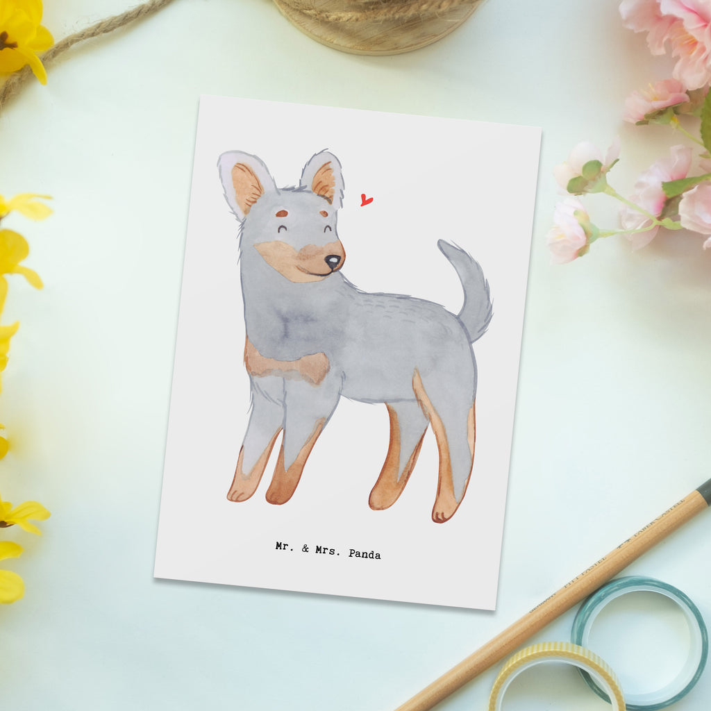 Postkarte Prager Rattler Moment Geschenkkarte, Grußkarte, Karte, Einladung, Ansichtskarte, Geburtstagskarte, Einladungskarte, Dankeskarte, Hund, Hunderasse, Rassehund, Hundebesitzer, Geschenk, Tierfreund, Schenken, Welpe, Pincher, Prager Rattler