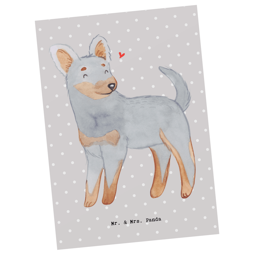 Postkarte Prager Rattler Moment Geschenkkarte, Grußkarte, Karte, Einladung, Ansichtskarte, Geburtstagskarte, Einladungskarte, Dankeskarte, Hund, Hunderasse, Rassehund, Hundebesitzer, Geschenk, Tierfreund, Schenken, Welpe, Pincher, Prager Rattler