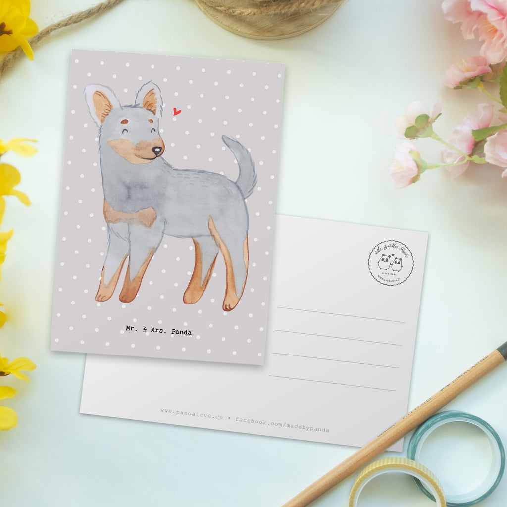 Postkarte Prager Rattler Moment Geschenkkarte, Grußkarte, Karte, Einladung, Ansichtskarte, Geburtstagskarte, Einladungskarte, Dankeskarte, Hund, Hunderasse, Rassehund, Hundebesitzer, Geschenk, Tierfreund, Schenken, Welpe, Pincher, Prager Rattler