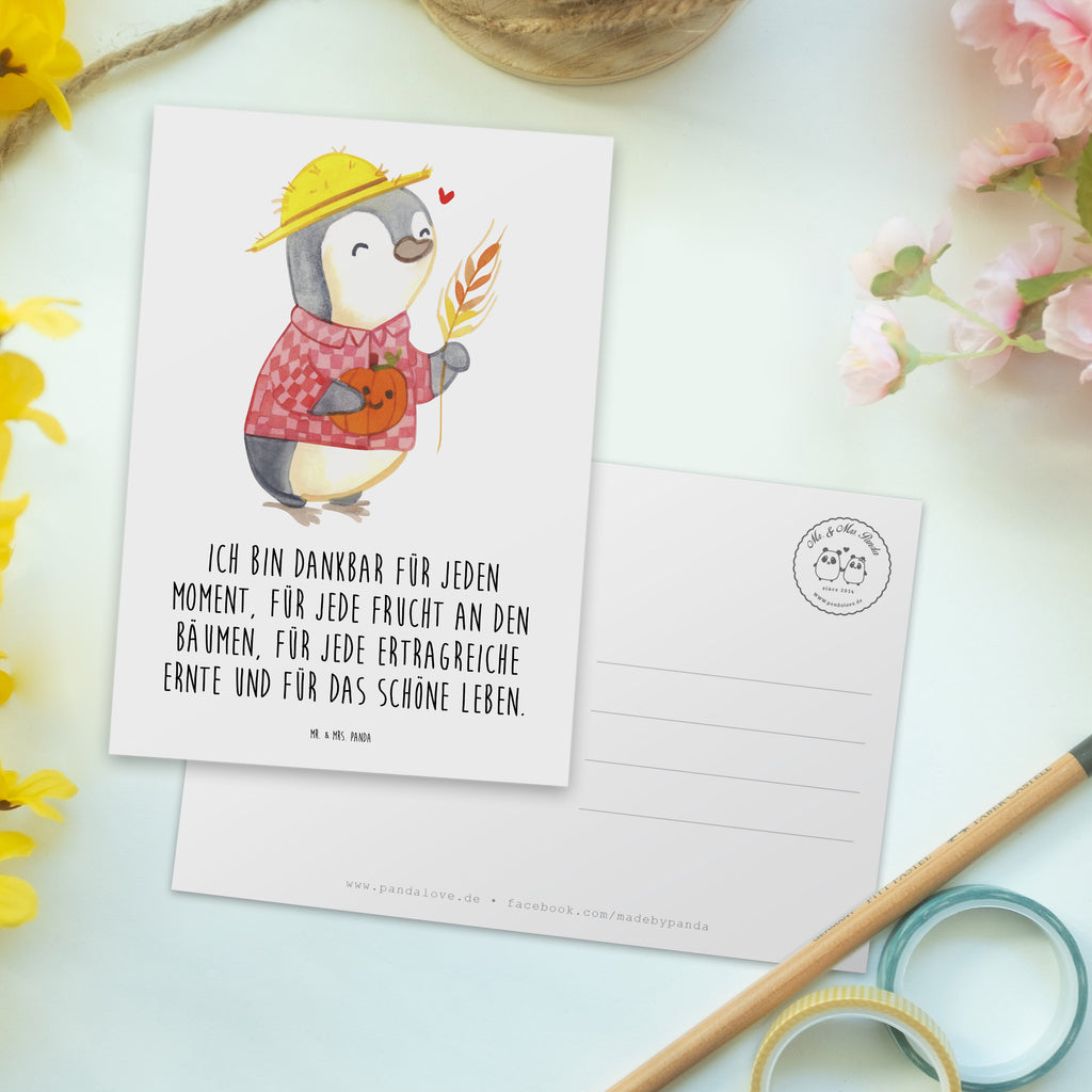 Postkarte Erntedankfest Pinguin Geschenkkarte, Grußkarte, Karte, Einladung, Ansichtskarte, Geburtstagskarte, Einladungskarte, Erntedank, Erntedankfest, Erntedank 2023, Erntedank Kindergarten, Erntedankspruch, Erntedank Sprüche, Erntedankfest deko, Erntedank Deko, Erntedank mit Kindern, Thanksgiving, Kürbis, Dankbarkeits Spruch, Herbst Motiv