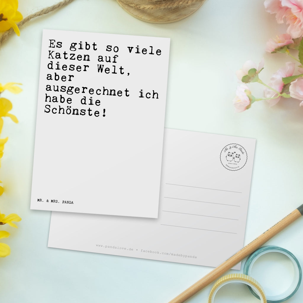 Postkarte Sprüche und Zitate Es gibt so viele Katzen auf dieser Welt, aber ausgerechnet ich habe die Schönste! Geschenkkarte, Grußkarte, Karte, Einladung, Ansichtskarte, Geburtstagskarte, Einladungskarte, Dankeskarte, Spruch, Sprüche, lustig, Weisheiten, Zitate, Spruch Sprüche Weisheiten Zitate Lustig Weisheit Worte