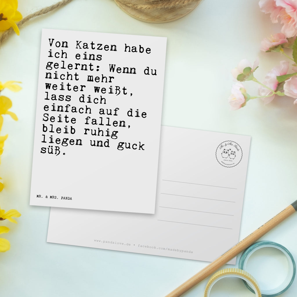 Postkarte Sprüche und Zitate Von Katzen habe ich eins gelernt: Wenn du nicht mehr weiter weißt, lass dich einfach auf die Seite fallen, bleib ruhig liegen und guck süß. Geschenkkarte, Grußkarte, Karte, Einladung, Ansichtskarte, Geburtstagskarte, Einladungskarte, Dankeskarte, Spruch, Sprüche, lustig, Weisheiten, Zitate, Spruch Sprüche Weisheiten Zitate Lustig Weisheit Worte