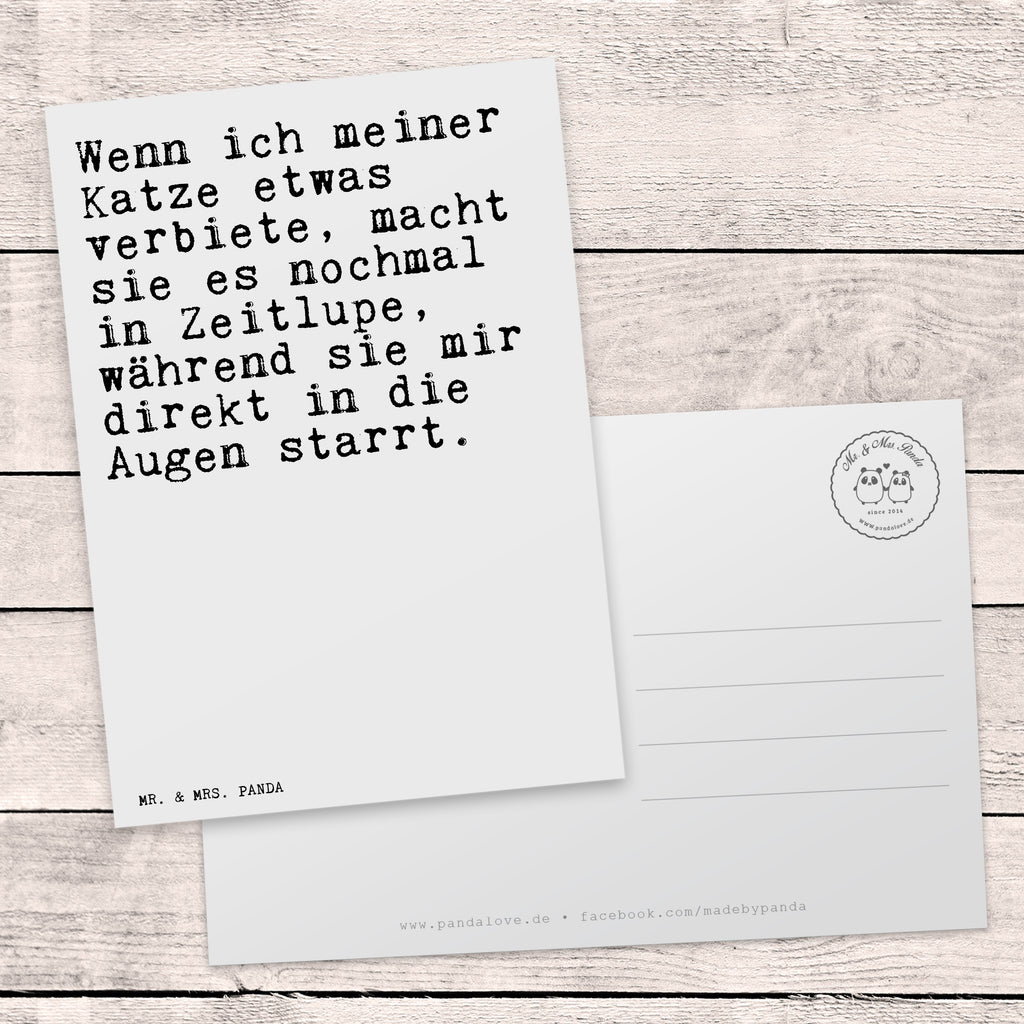 Postkarte Sprüche und Zitate Wenn ich meiner Katze etwas verbiete, macht sie es nochmal in Zeitlupe, während sie mir direkt in die Augen starrt. Geschenkkarte, Grußkarte, Karte, Einladung, Ansichtskarte, Geburtstagskarte, Einladungskarte, Spruch, Sprüche, lustig, Weisheiten, Zitate, Spruch Sprüche Weisheiten Zitate Lustig Weisheit Worte