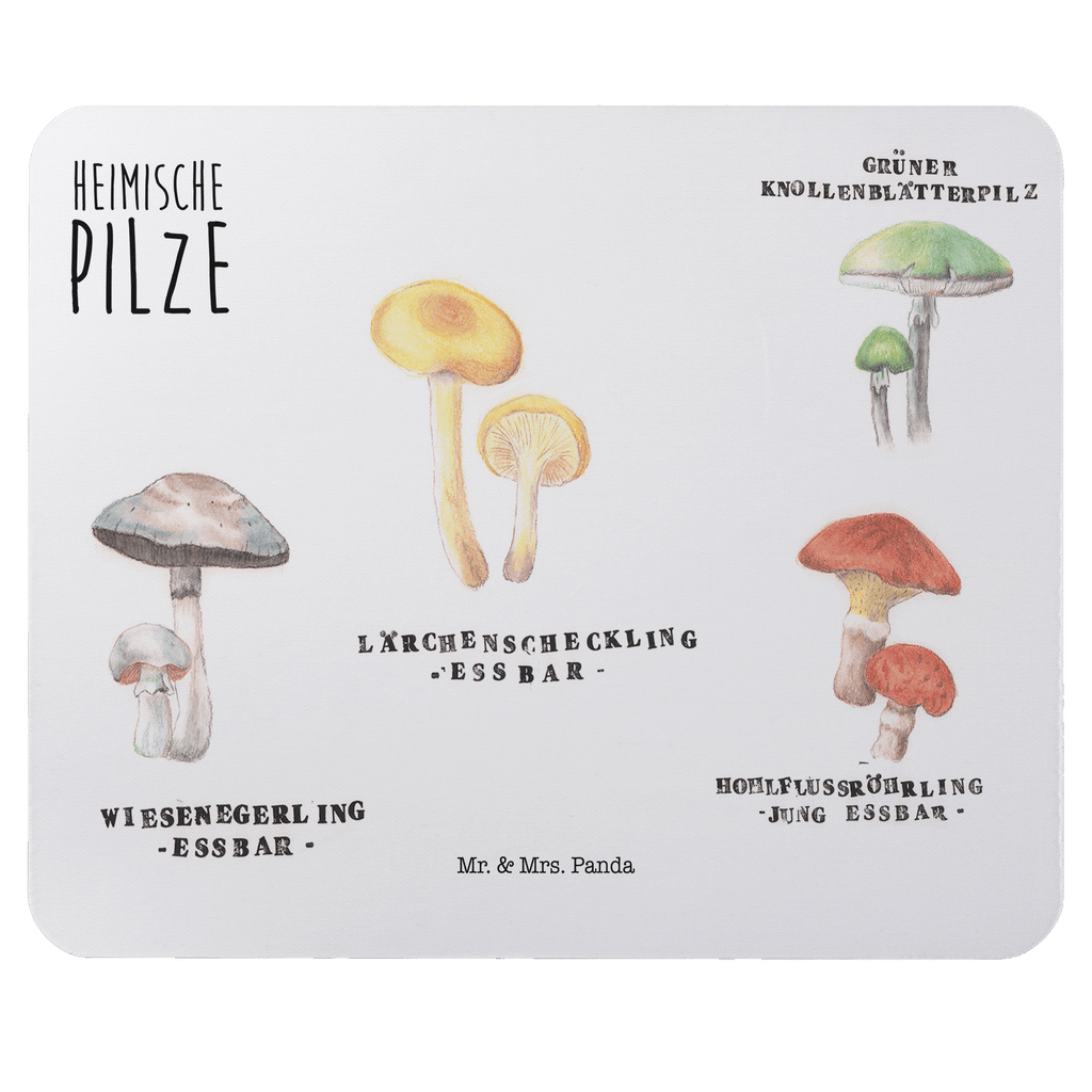 94f7497791dd40f3c3906dcfcadf1a32