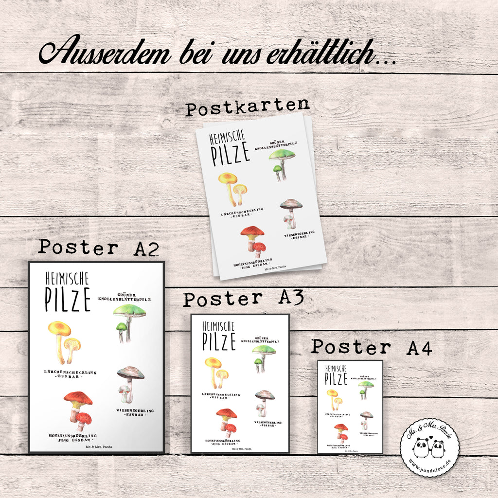 Poster Heimische Pilze Poster, Wandposter, Bild, Wanddeko, Küchenposter, Kinderposter, Wanddeko Bild, Raumdekoration, Wanddekoration, Handgemaltes Poster, Mr. & Mrs. Panda Poster, Designposter, Kunstdruck, Posterdruck, Blumen Deko, Frühlings Deko, Sommer Deko, Dekoration, positive Botschaft, Naturliebhaber, Outdoor, Natur, Abenteuer, Pilze, Pilz, Glückspilz