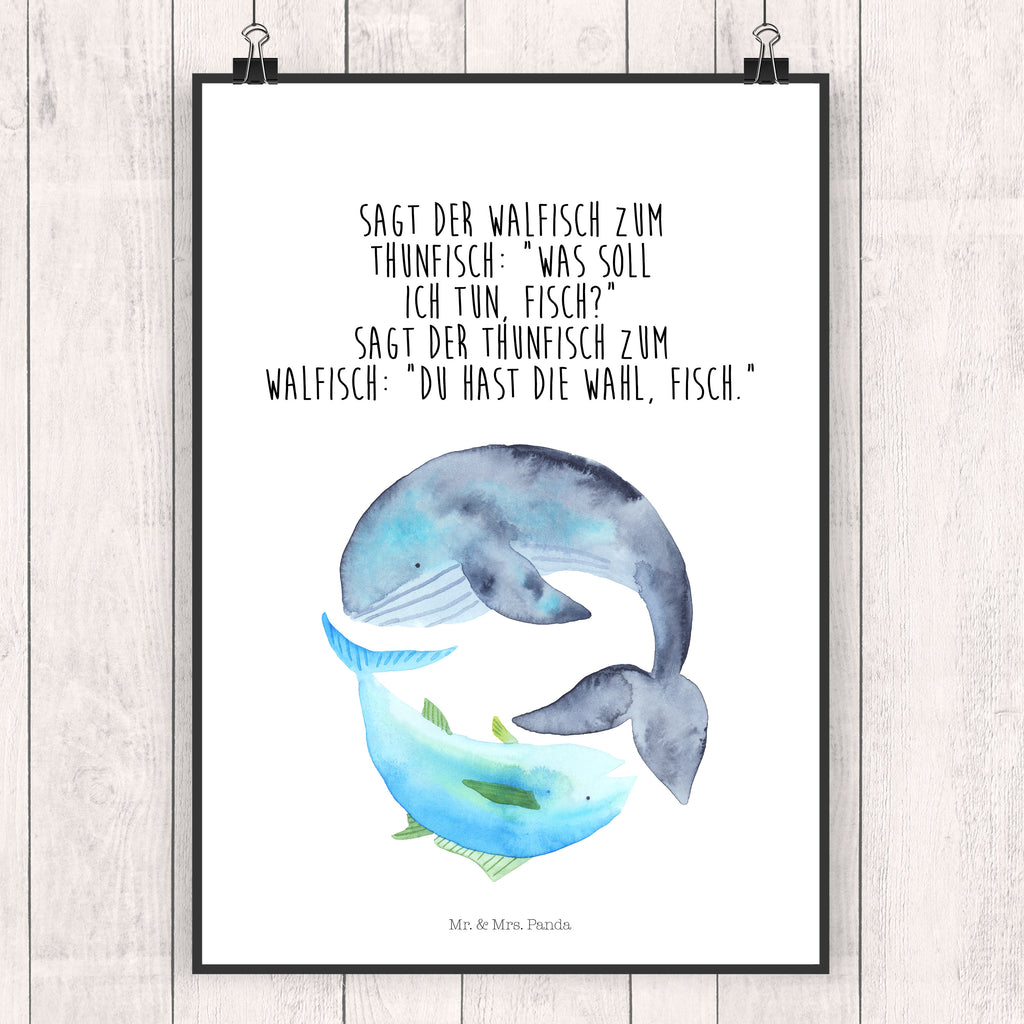Poster Walfisch & Thunfisch Poster, Wandposter, Bild, Wanddeko, Küchenposter, Kinderposter, Wanddeko Bild, Raumdekoration, Wanddekoration, Handgemaltes Poster, Mr. & Mrs. Panda Poster, Designposter, Kunstdruck, Posterdruck, Tiermotive, Gute Laune, lustige Sprüche, Tiere, Wal, Wahl, Tunfisch, Wortwitz lustig, Spruch lustig, Flachwitz, Witz, Spruch des Tages, Flachwitz Geschenk